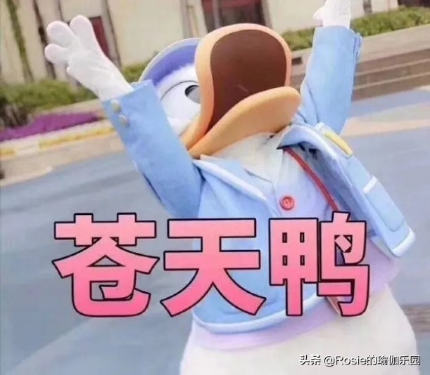 杨幂漫画腿细长怎么办,杨幂漫画腿挑战