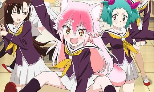 49部新番,48部新番