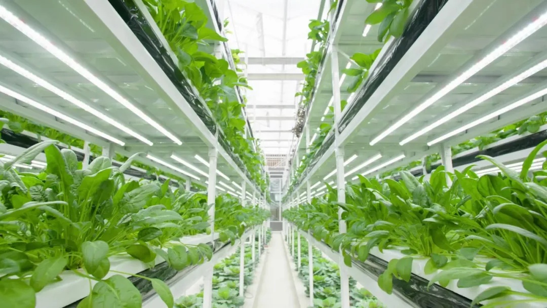 “一南一北”！南京两个“国家级”这么干