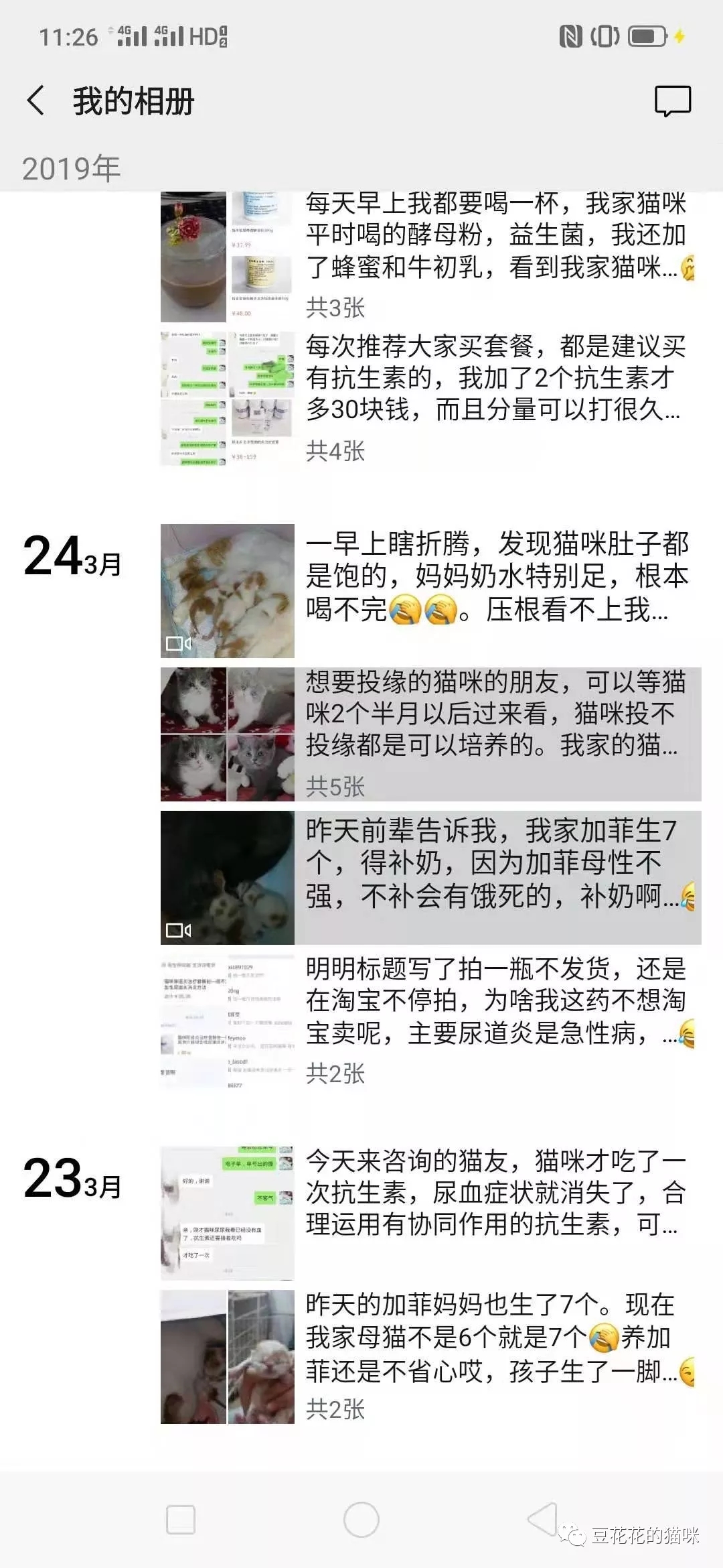 母猫不生怎样催产,母猫不生如何催产