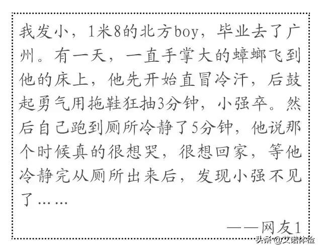 一只它=40多种细菌！你家也藏了有，衣服食物千万别沾上