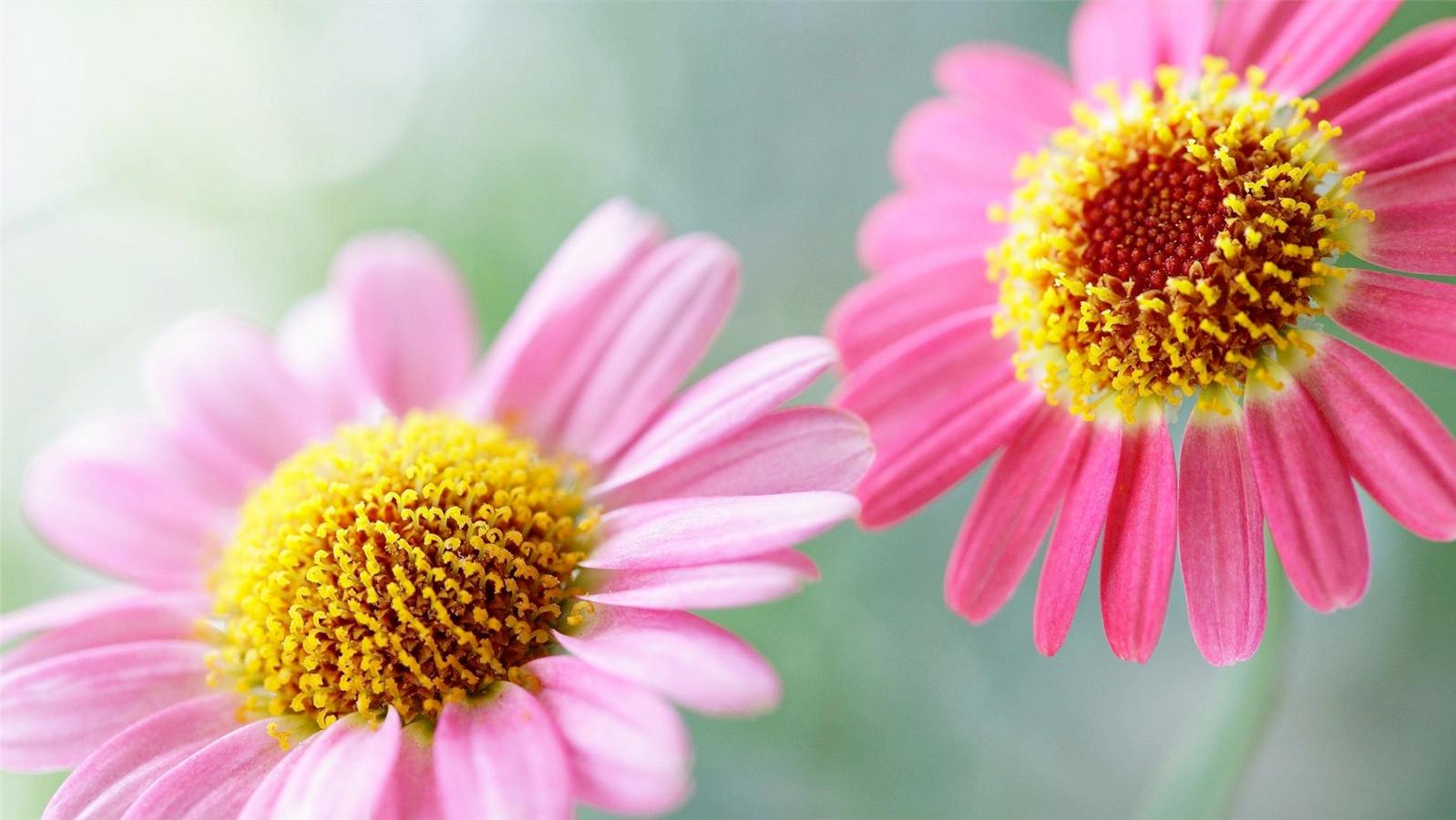 人最好的状态无非是止语又止心,止语止心止行什么意思