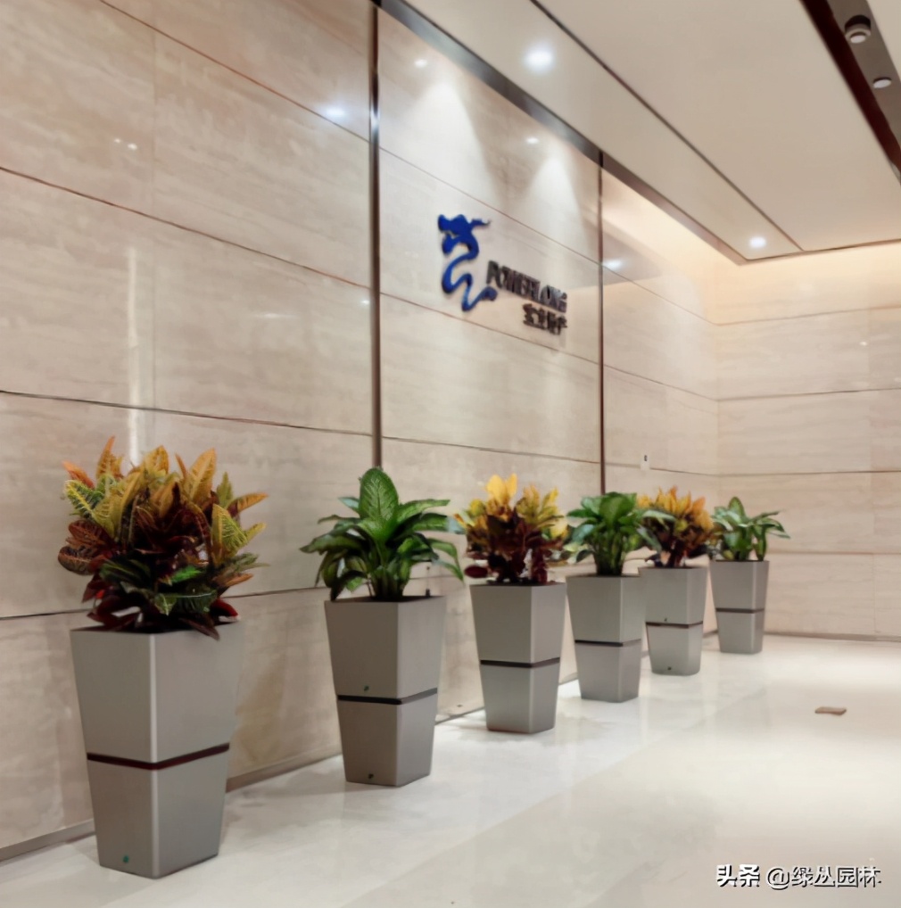 绿植租赁合同书教程,绿植供货协议合同范本最新