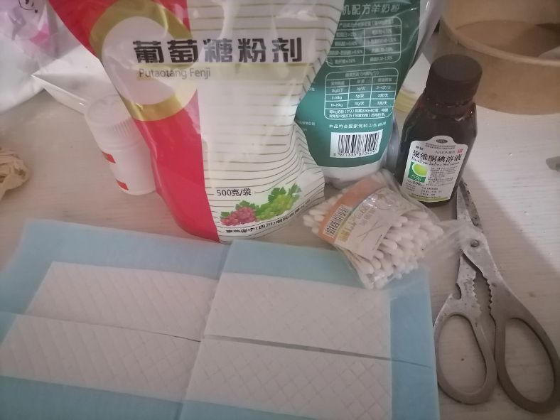 母猫生产过程、产前症状？产前准备？接生，产后如何护理？纯干货