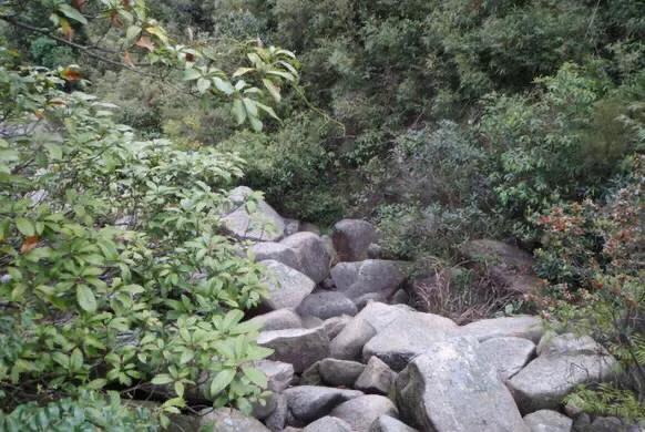 珠海40公里徒步,珠海徒步旅游攻略