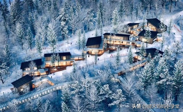 「招募」一起过圣诞~|北海道行旅，写给孩子的白色情书