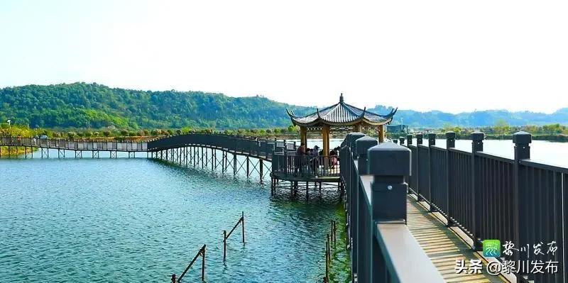 聚龙山赏花,聚龙湖畔好风景