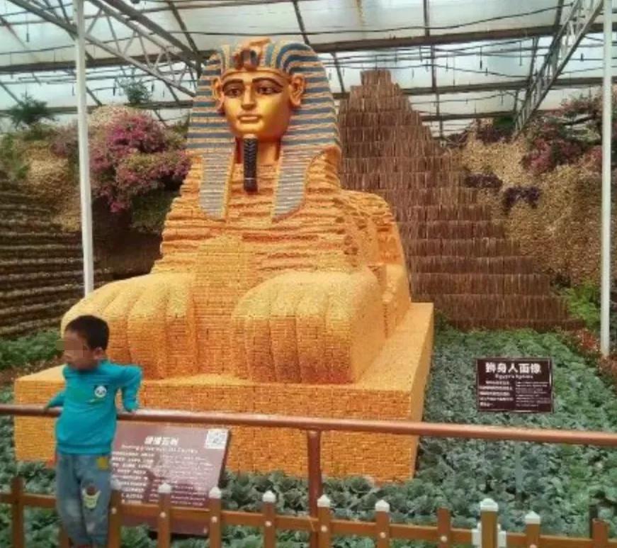 到山东不会饿着你,到山东怎么能不吃煎饼和大馒头呢