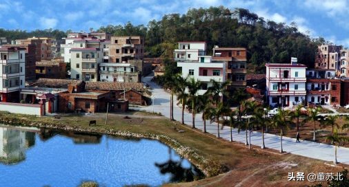高州十强镇排名,百强市排名2020茂名