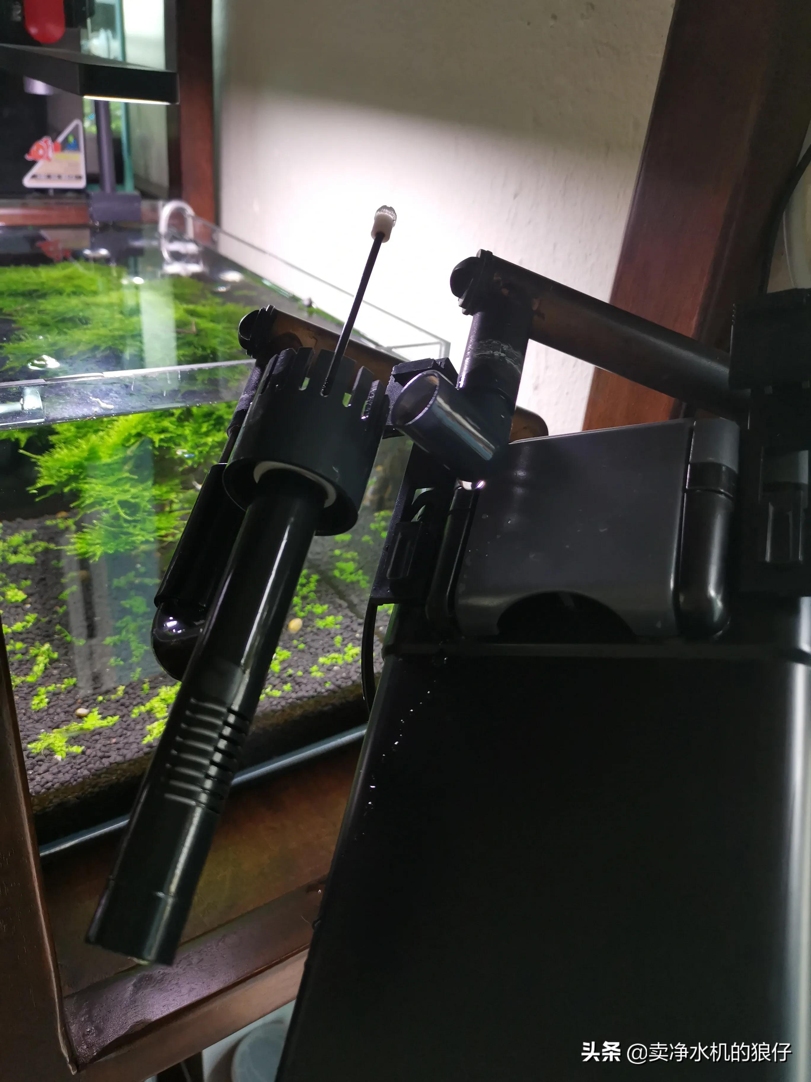 鱼缸过滤器没反应是哪里出现问题,布隆过滤器失效