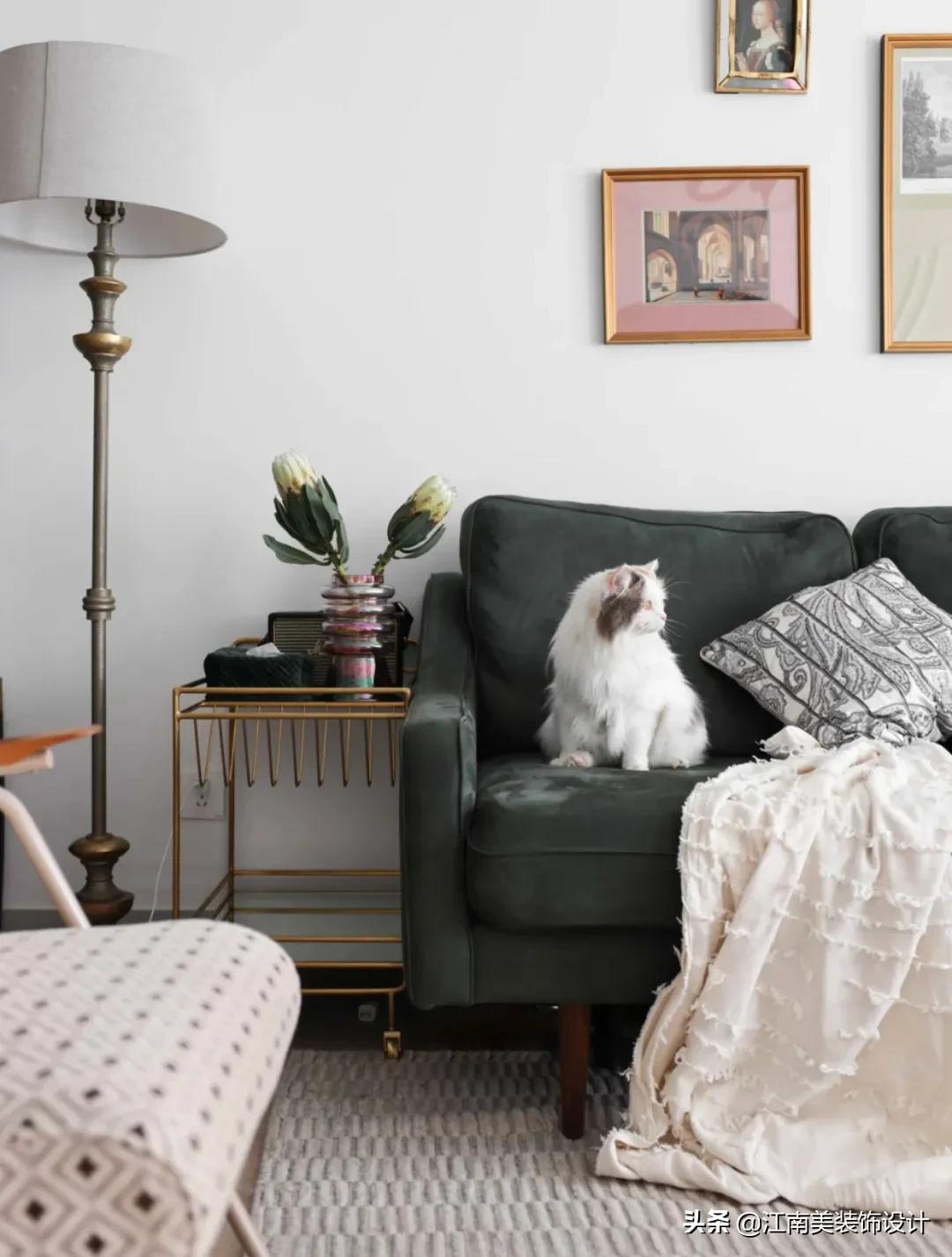 没有阳台的房子养宠物怎么装修,家里养宠物该怎么装修