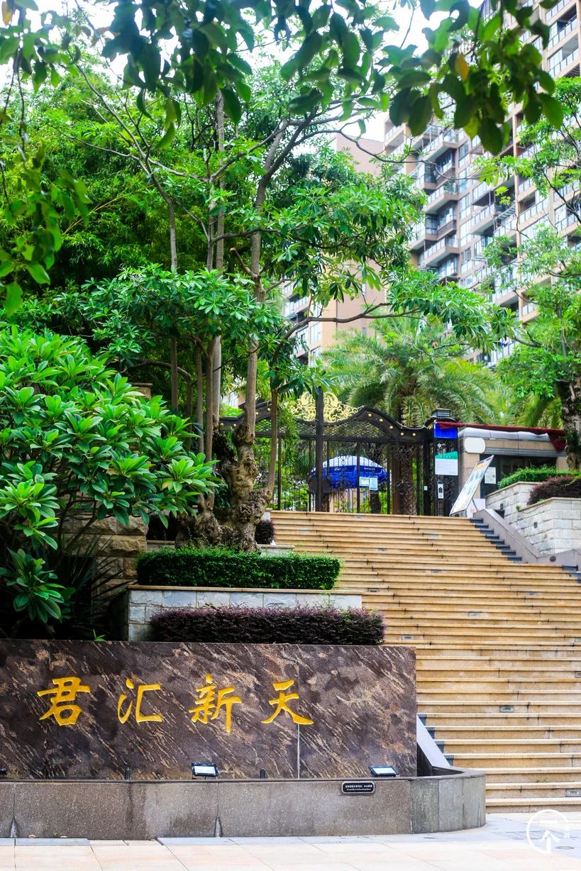 测评深圳湾,我直接被房租劝退