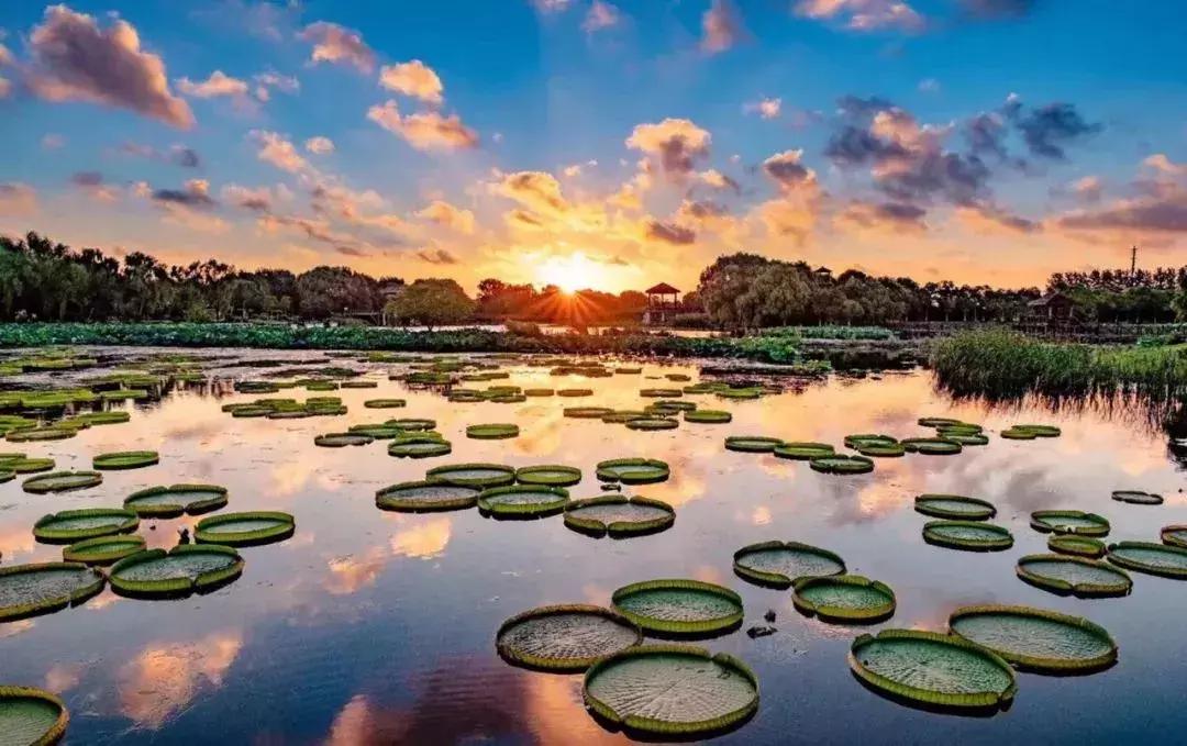 苏州亲子游玩好去处推荐,苏州周末带娃的好去处