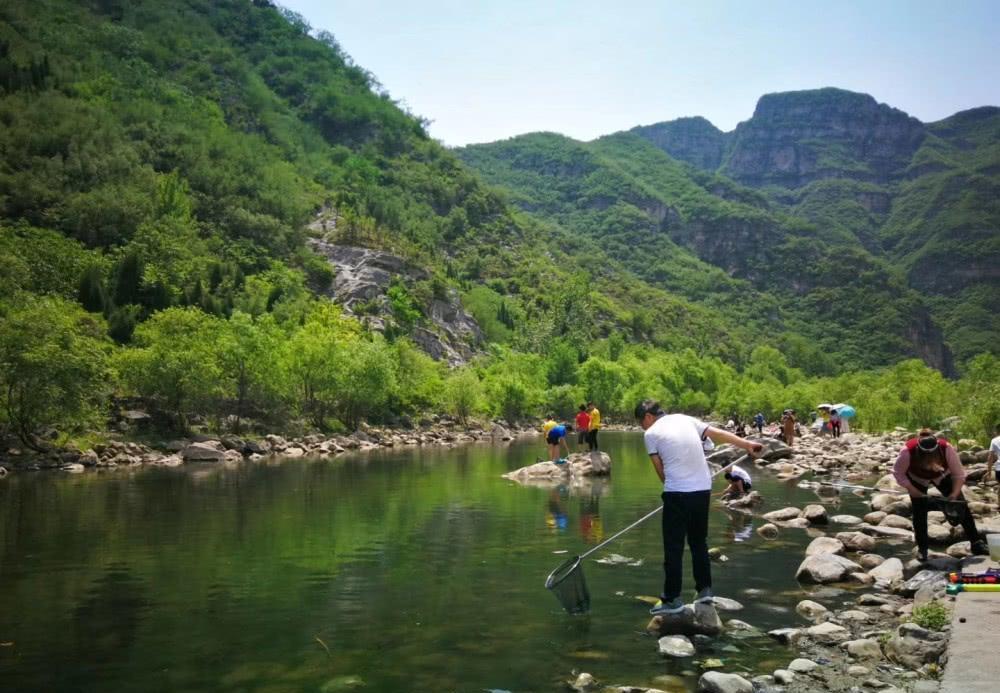 济源旅游景点推荐猴山,济源附近免费旅游景点有猴子