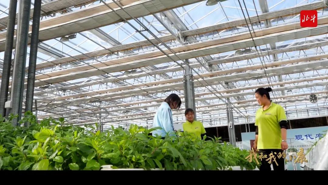 丹东自然美景,丹东大自然