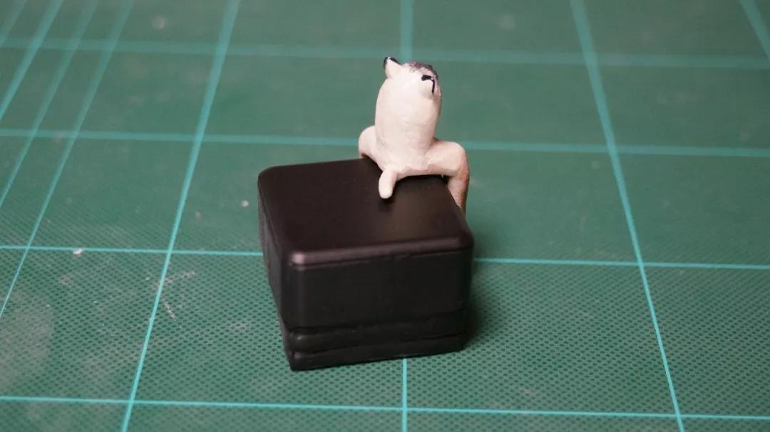 动物表情包沙雕魔性,沙雕动物爆笑瞬间表情包