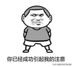 照母山的重点中学,照母山优质学区