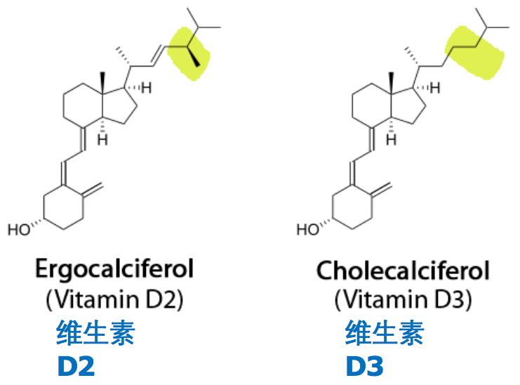 关于维生素d你该知道这些,维生素d的重要性科普一下