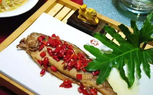 教你50种鱼的经典做法大全,各种鱼的做法50种大全