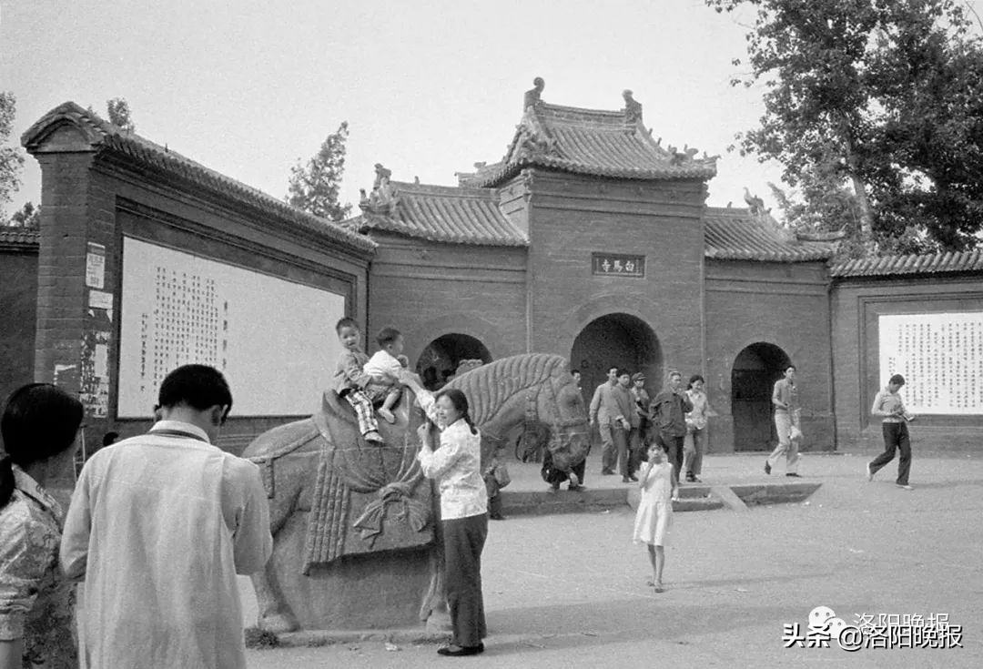 一分钟看河南洛阳,一日看遍洛阳