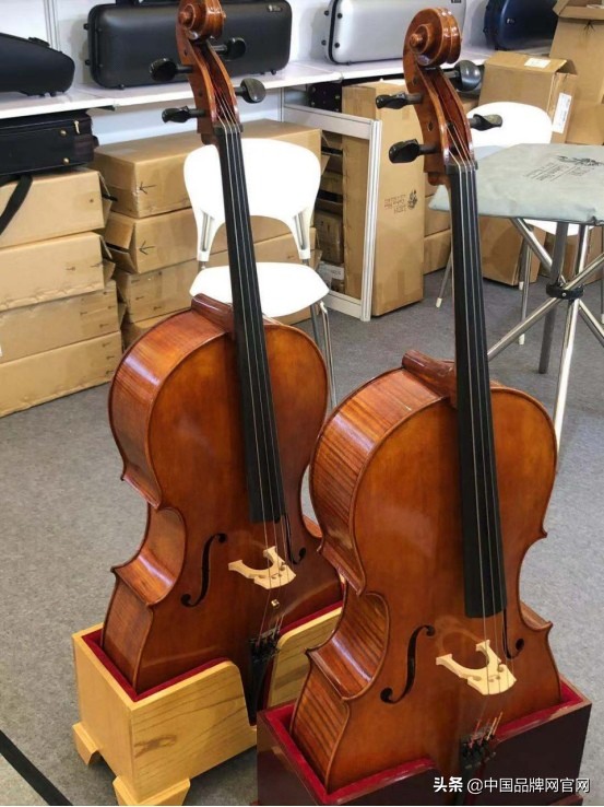 菲森大提琴质量好吗,双十一菲森大提琴