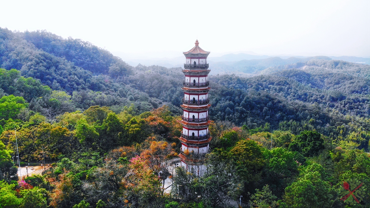 广东人过年必吃的青菜,广东人年夜饭必有的一道菜