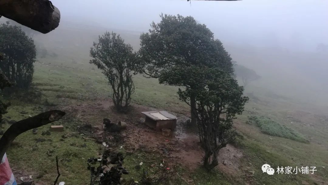 西藏滇藏骑行攻略,骑行滇藏丙察察线完整攻略