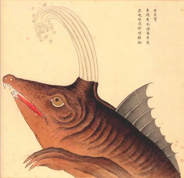 清代海错图有用吗,故宫海错图展