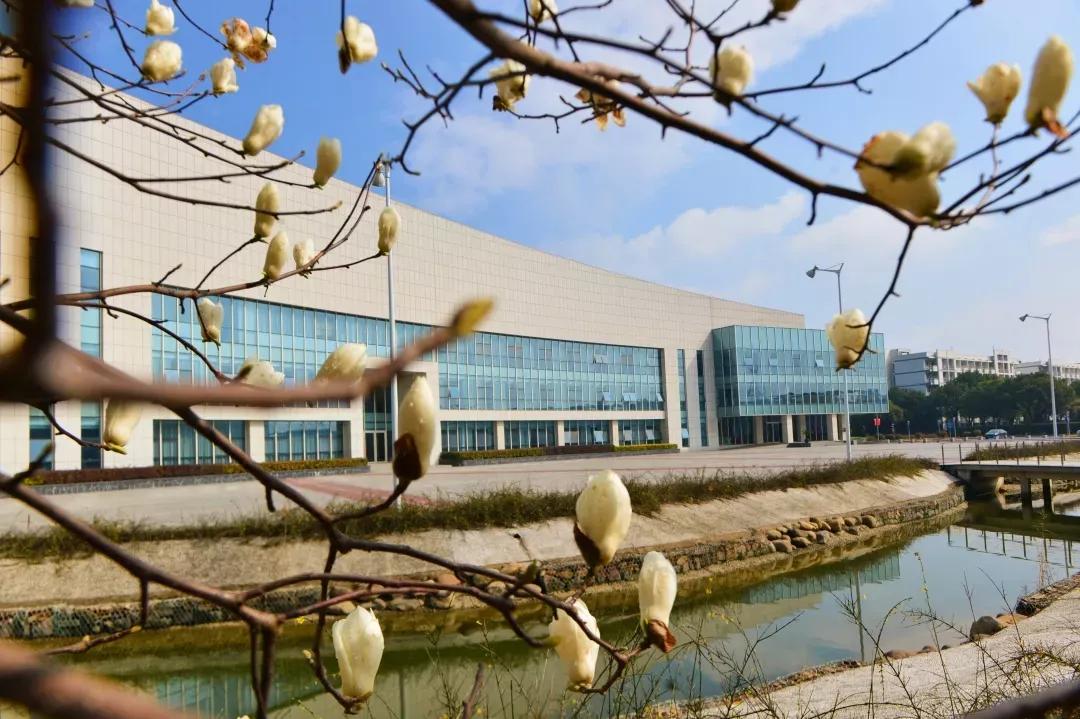 鑻忓窞澶у鏂囨瀛﹂櫌浠嬬粛,鑻忓窞澶у鏂囨瀛﹂櫌鍥剧墖