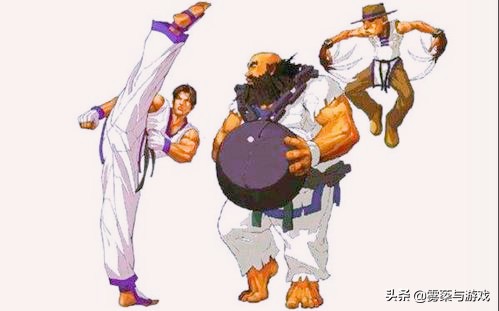 拳皇蔡宝奇全部技能,拳皇蔡宝奇图片