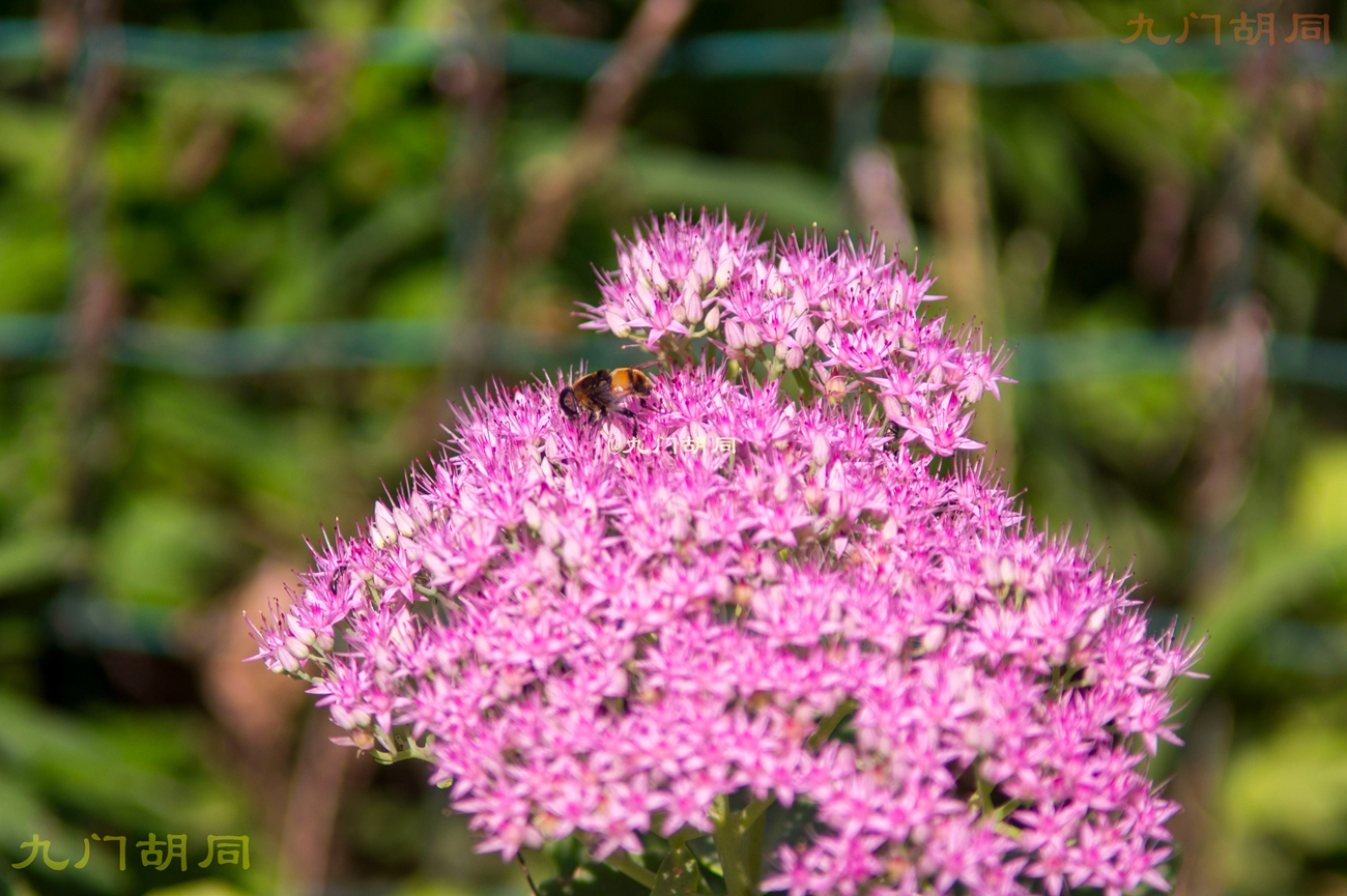 北京密云张裕爱斐堡酒庄一日游,密云张裕爱斐堡酒庄好玩吗