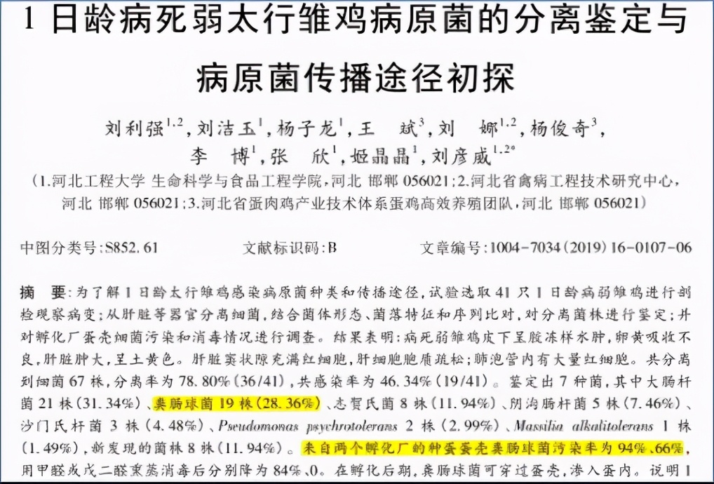 鸡群生病后有什么表现,鸡群出现瘫痪是怎么回事