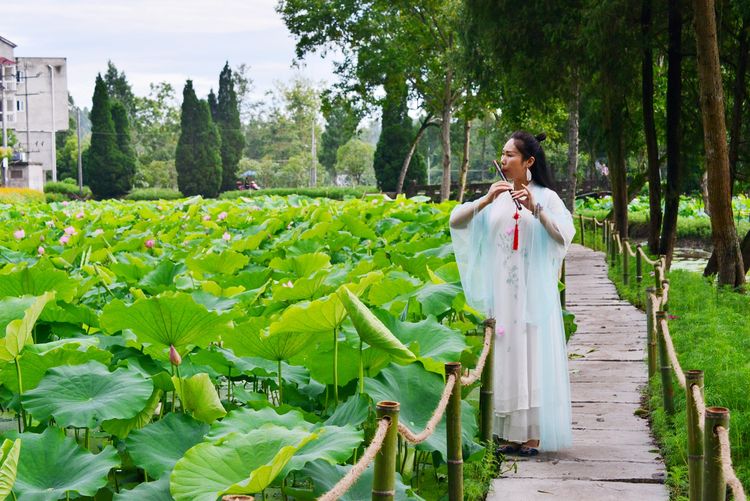 涔愯嚦鑽疯姳鎽勫奖浣滃搧娆ｈ祻,涔愯嚦鍗拌薄鎽勫奖