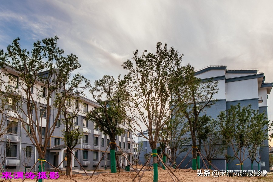 健身休闲绿道,临渭区渭河南堤渭河生态运动公园