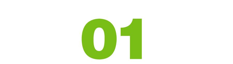 800元一斤的草莓,一斤草莓9.9