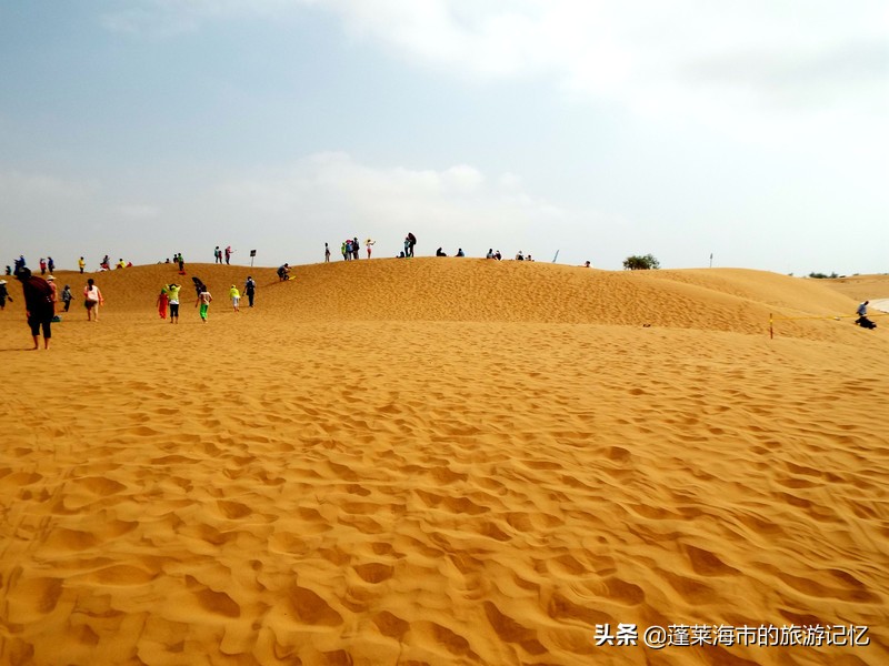 宁夏沙坡头游记,畅游宁夏