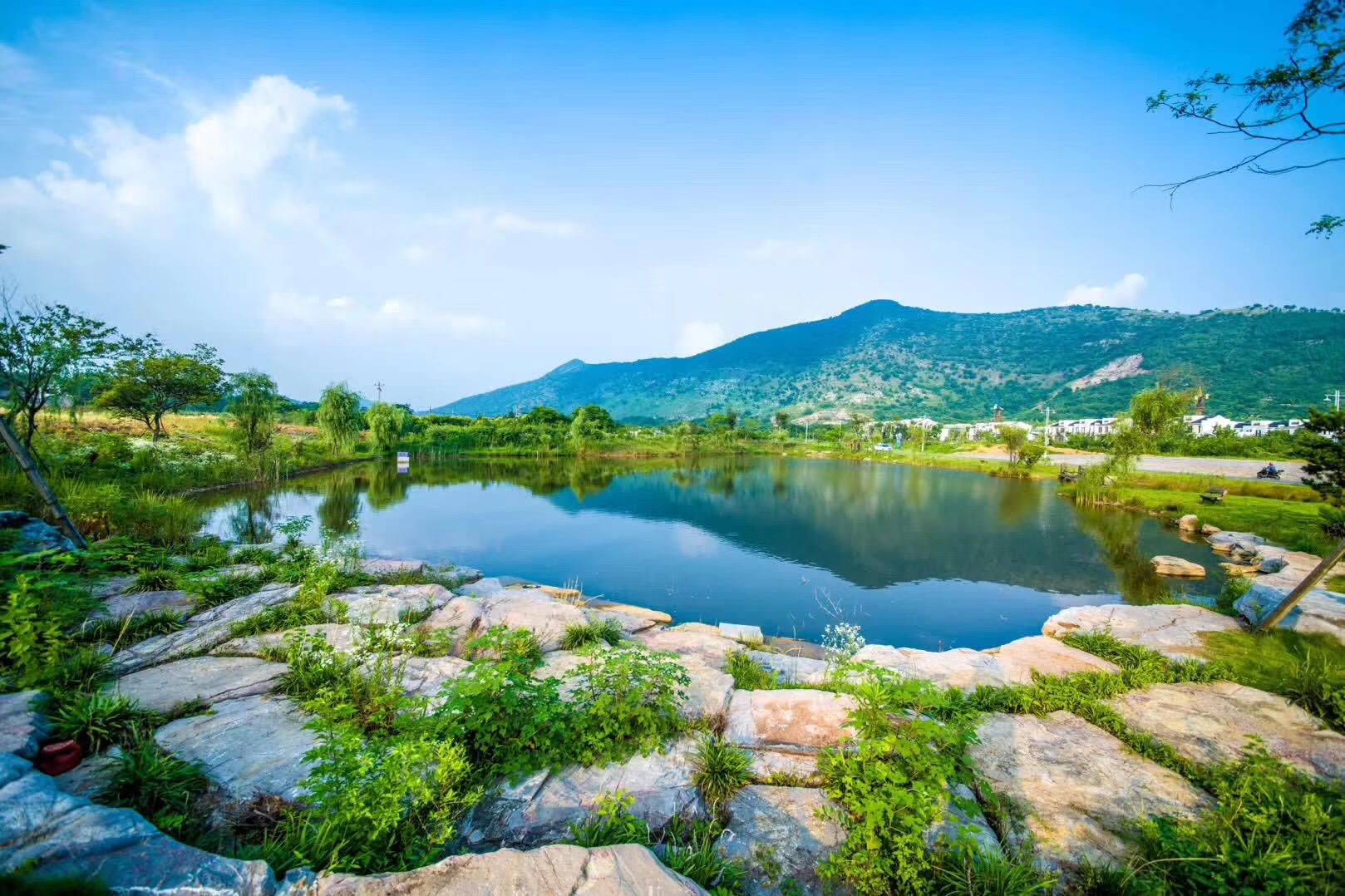 心中的简易池塘,心中的池塘手抄报