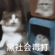 “sugarbaby”不是甜心宝贝的意思，有人对你说，直接给他一巴掌