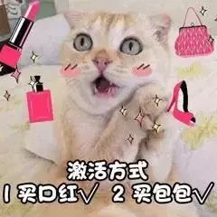 好用的粉底真实测评,10块粉底液测评