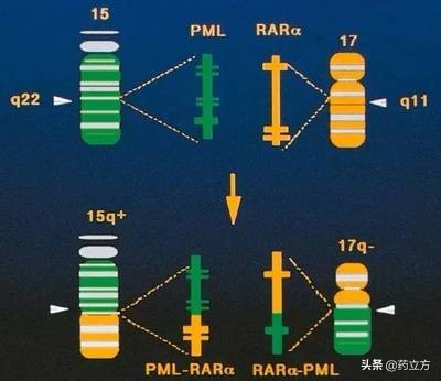 男子无意间发现自己的妻子往药里放*霜砒**，谁知是这是为了给他治病