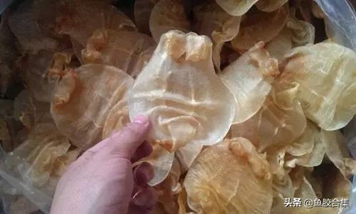 花胶一共有几种类型的品种,花胶种类中哪种最好