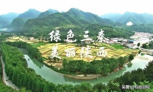 发票丢了怎么办公司能入账吗,发票丢了怎么办办清税证明