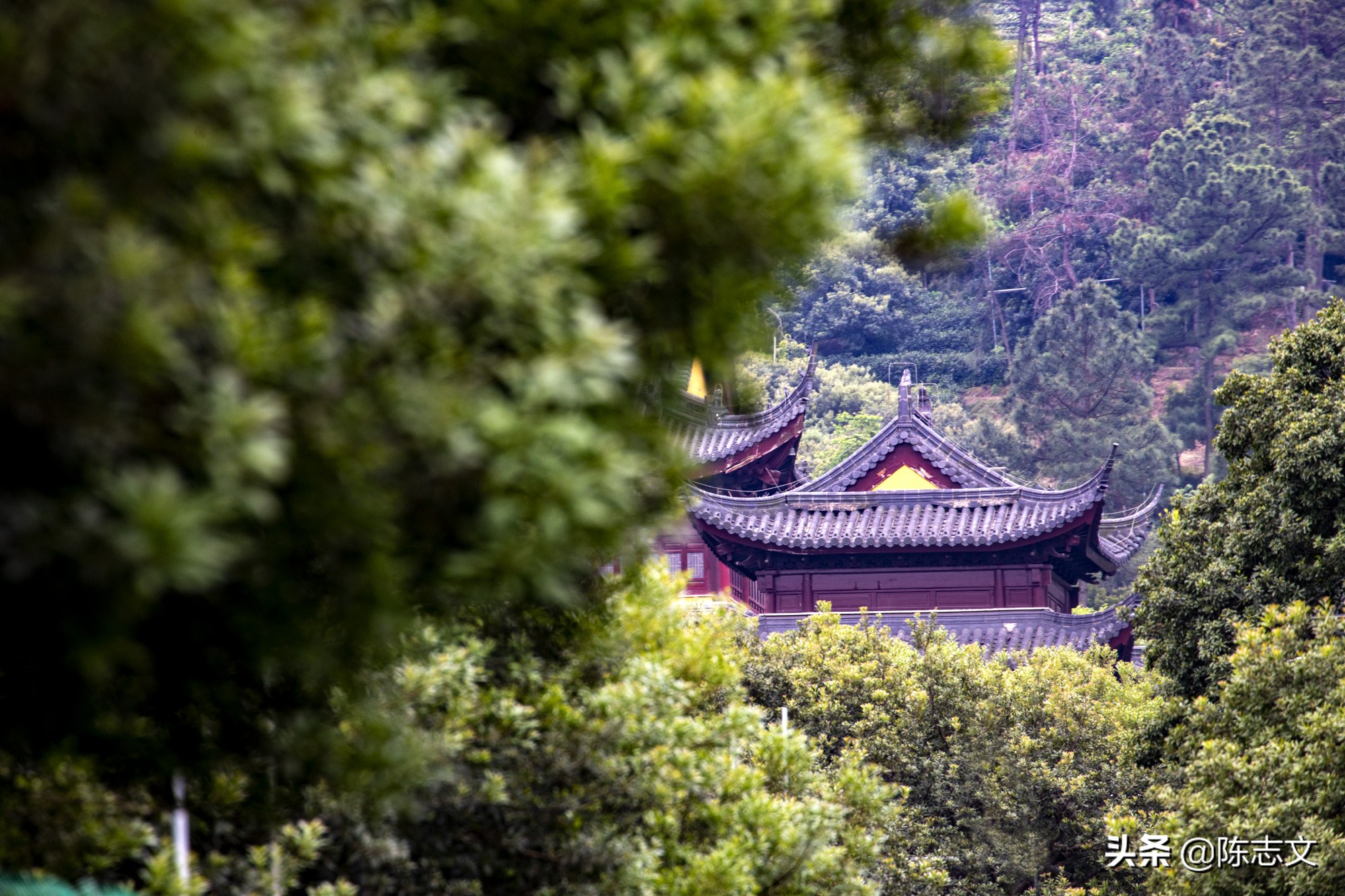 苏州有一座单独的山,苏州有座佛的山