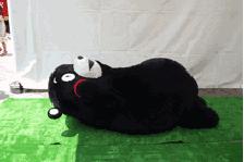 抚平小肚子训练动作,抚平小肚子减肥健身操