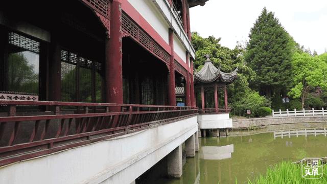 上海宋城免费景点,上海一日游攻略必去景点免费