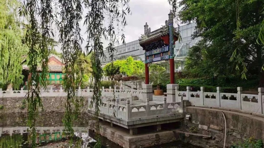 谈谈你对麻醉的认识,麻醉学简介