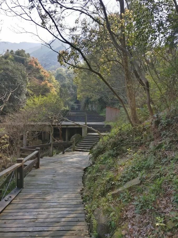 上海自驾舟山桃花岛游路线推荐,从上海去桃花岛如何安排行程