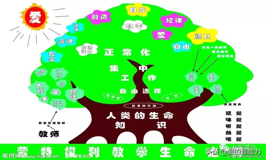 教育问题和启示,教育机智与技巧的运用