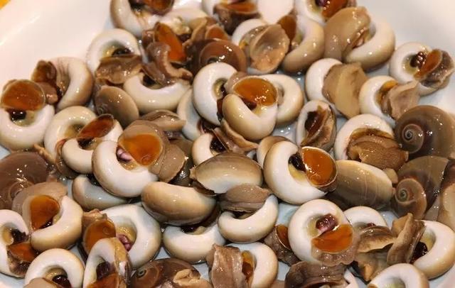 史上最全海鲜视频,史上最全海鲜贝类大全