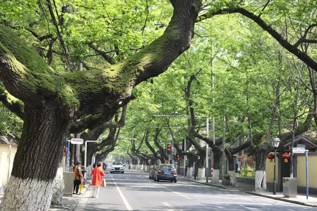 高铁高级软卧有多舒服,高铁软卧怎么睡觉